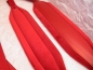Preview: 10cm Akkordeongurte,Accordion Straps,Bretelles, ROT