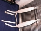 Preview: 10cm Akkordeongurte,Accordion Straps,Bretelles, - WEIß