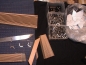 Preview: 1 Neuer Balg (Preis auf Anfrage)  ( Price on request)