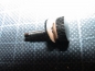 Preview: Nr. 4 HOHNER accordion Grille screw