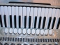 Preview: Hohner Champion, 120 Bass - Show Instrument