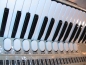 Preview: Hohner Champion, 120 Bass - Show Instrument