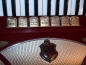 Preview: HOHNER Lucia III P, 96 Bass,ROT (Made in Germany..!)
