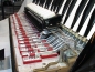 Preview: Hohner Morino IV N