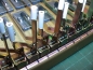 Preview: 24 Federn, für Hohner (Bass) Atlantic, Lucia, Imperator
