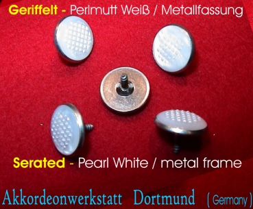 5 Knöpfe - Geriffelt - Perlmutt-Weiß / Metallfassung