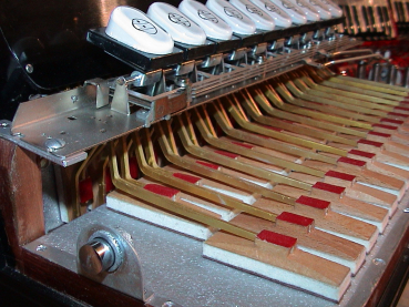 HOHNER Morino Club N (C-F Dur),  5/5 Chörig