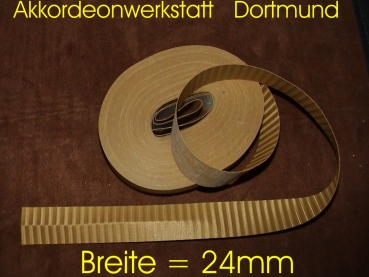 2R - GOLD, Balgeinfassungsstreifen,Kalikostreifen