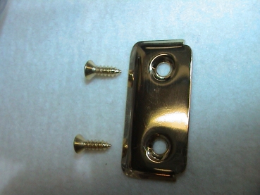 Endblech für Bassgurt  mit 2 Schrauben, in GOLD Farbe