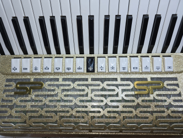 Preview: PAOLO SOPRANI - Super Paolo III,  GOLD (Special Model) 120 Bass, Cassotto